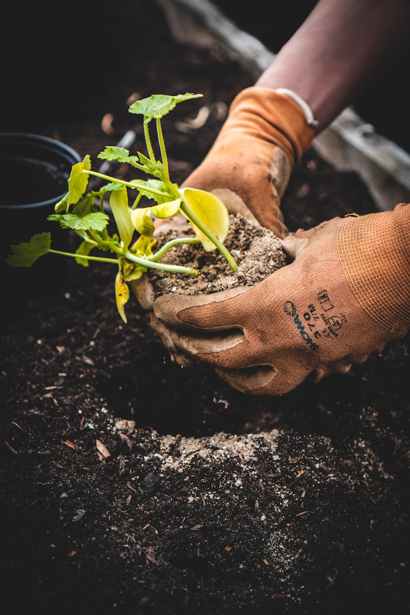 Landscaping estimate and service
